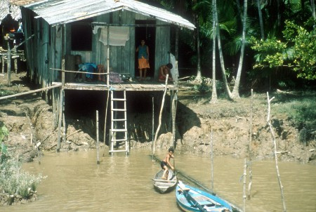 House. Amazon River, Brazil