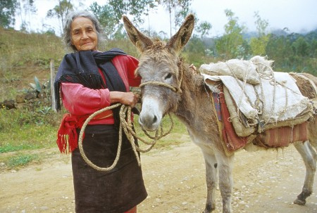 Elderly lady and mule. Chachapoyas, Peru