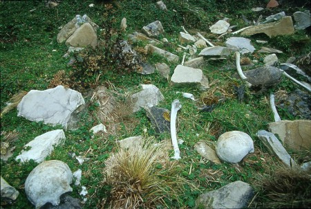 Bones outside ancient burial cave. Chachapoyas, Peru