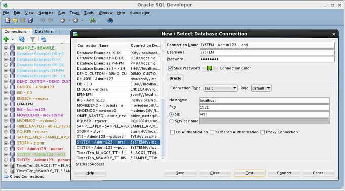 View SQL Developer connection details in Oracle VM